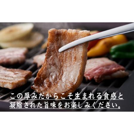 ふるさと納税 【食べ応え抜群】厚さ10ｍｍ！九州産豚バラ焼肉　500ｇ×４パック　計２ｋｇ 宮崎県小林市｜furunavi｜03