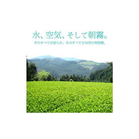 ふるさと納税 【6ヶ月定期便】【八女茶】奥八女星野村 深蒸し高級煎茶 (深蒸し茶) 100g×1袋 福岡県遠賀町の画像
