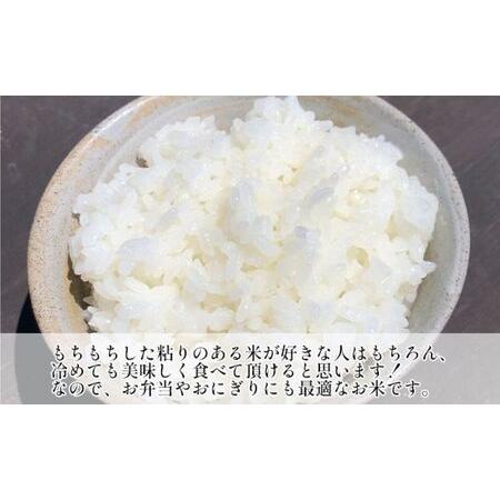 流行 ふるさと納税 2ヶ月　定期便 令和5年産　ミルキークィーン　乾式無洗米　5kg×2ヶ月 千葉県千葉市