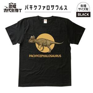 ふるさと納税 恐竜・古代生物Tシャツ パキケファロサウルス 036 サイズXXL(レギュラー) 福島県いわき市