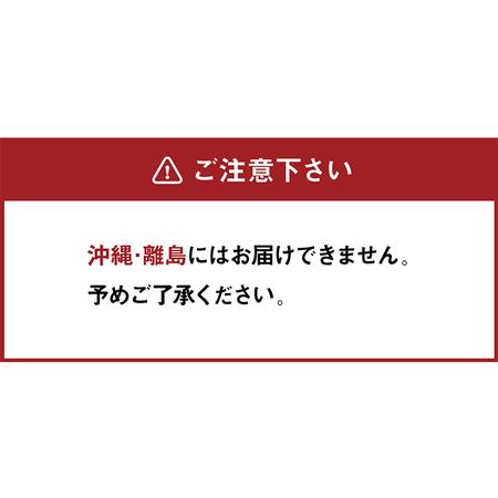 ふるさと納税 【期間限定！生活応援】 アキレス 健康サポート マットレス FloatWave ハードタイプ SD セミダブル グレー×ブルー 日本製 190.. 滋賀県豊郷町の画像