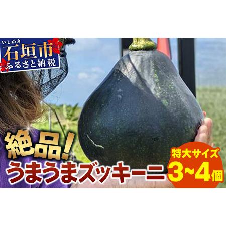 ふるさと納税 希少!「絶品うまうまズッキーニ」特大サイズ3〜4個 贈答用にも!農薬を使わず、特許製法のシリカ水で栽培する特別な野菜 11月〜5.. 沖縄県石垣市