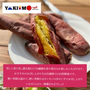 ふるさと納税 【日本最大級のサツマイモの祭典、さつまいも博2024 出店】はるの優しさ(冷凍やきいも) 約1kg｜冷凍 焼芋 焼き芋 やきいも さつま.. 茨城県行方市の画像