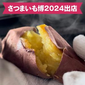 ふるさと納税 【日本最大級のサツマイモの祭典、さつまいも博2024 出店】はるの優しさ(冷凍やきいも) 約1kg｜冷凍 焼芋 焼き芋 やきいも さつま.. 茨城県行方市の画像