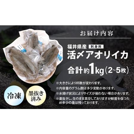 ふるさと納税 大好評！墨抜き済 活〆 若狭湾 天然 アオリイカの生冷凍 約1kg 福井 地物 海鮮 個別包装 真空パック 刺身 天ぷら マリネ 煮付け 塩.. 福井県美浜町｜furunavi｜05