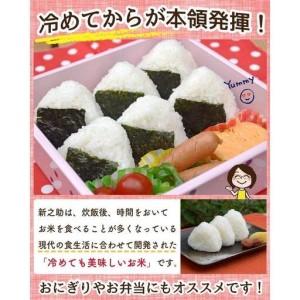 ふるさと納税 佐渡島産 新之助 白米20kg(5kg×4袋）令和7年産 【食の宝島佐渡】 新潟県佐渡市の画像
