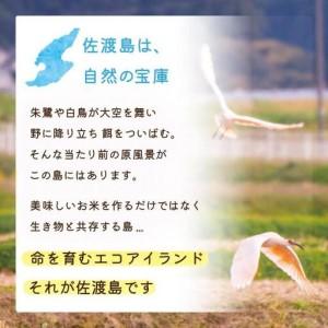 ふるさと納税 佐渡島産 新之助 白米20kg(5kg×4袋）令和7年産 【食の宝島佐渡】 新潟県佐渡市の画像