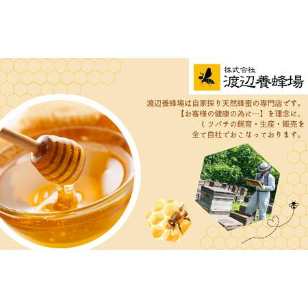 ふるさと納税 国産天然はちみつ 国産厳選 初夏の極上アカシヤ | ハチミツ 蜂蜜【株式会社渡辺養蜂場】 福島県二本松市_3