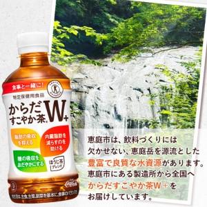 ふるさと納税 【定期便：5回（隔週送りとどける）】からだすこやか茶W＋ 350ml×24本【38004102】 北海道恵庭市