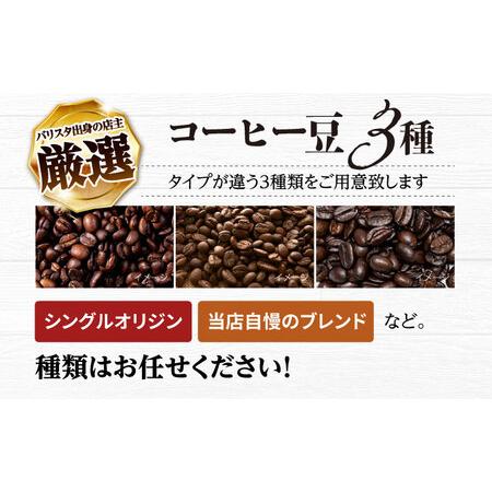 ふるさと納税 【全12回定期便】バリスタが焙煎！コーヒー豆 200g×3種 豆タイプ【La Seconda Casa】[IG10] 長崎県波佐見町の画像