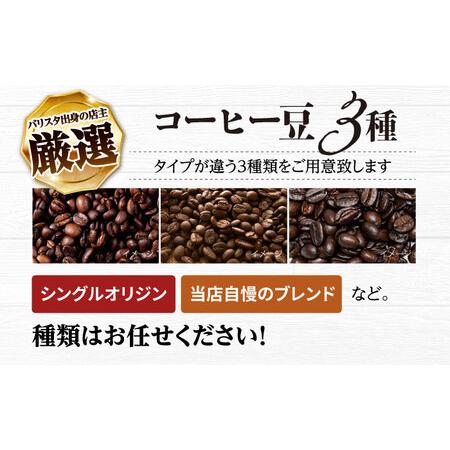 ふるさと納税 【全12回定期便】バリスタが焙煎！コーヒー豆 200g×3種 粉タイプ【La Seconda Casa】[IG13] 長崎県波佐見町の画像