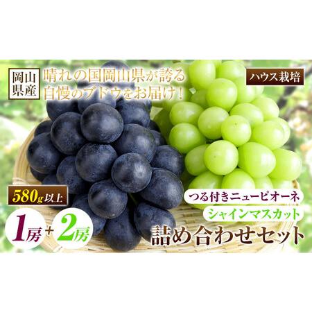 ふるさと納税 つる付き!ニューピオーネ 1房 &amp; シャインマスカット 2房[配送不可地域あり] 岡山県矢掛町