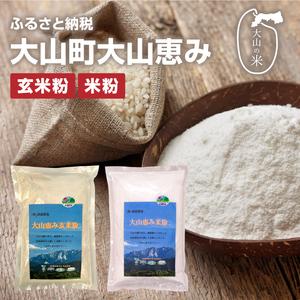 ふるさと納税 MR-02 大山恵み米粉・玄米米粉 セット(500g×2) 鳥取県大山町