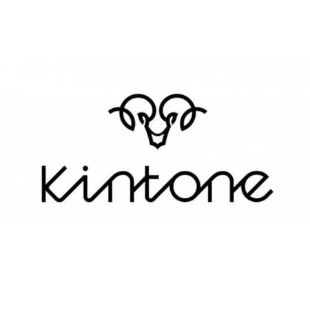 ふるさと納税 電動キックボード 公道 走行可能 KINTONE Model One S 増量バッテリーモデル(ホワイト） 白 免許不要 おりたたみ 特定小型原付 茨城県常総市｜furunavi｜04