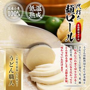 ふるさと納税 代打ち麺渦巻形 (500g×3本・9人前) ＜露いささかも付＞ 仕かける 讃岐 うどん 唐きび 麺 コシ 技術者 くぐり抜ける 発祥地 常温 【man183】【こん.. 香川県まんのう町