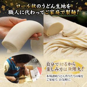 ふるさと納税 代打ち麺渦巻形 (500g×3本・9人前) ＜露いささかも付＞ 仕かける 讃岐 うどん 唐きび 麺 コシ 技術者 くぐり抜ける 発祥地 常温 【man183】【こん.. 香川県まんのう町