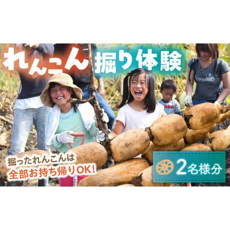 ふるさと納税 蓮根(レンコン)掘り体験 ペアチケット [清水食品株式会社] れんこん 食育 体験[AEAJ004] 愛知県愛西市