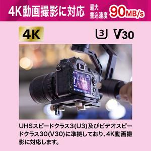 ふるさと納税 キオクシア(KIOXIA) EXCERIA PLUS G2 microSDXC UHS-I メモリカード 2TB  三重県四日市市の画像