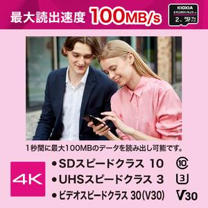 ふるさと納税 キオクシア(KIOXIA) EXCERIA PLUS G2 microSDXC UHS-I メモリカード 2TB  三重県四日市市の画像