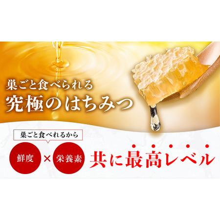 ふるさと納税 【先行受付 令和6年7月より発送】極巣みつ 620g (310g×2個) 蜂蜜 はちみつ コムハニー 極上 濃厚 広川町 / 株式会社九州蜂の.. 福岡県広川町｜furunavi｜02