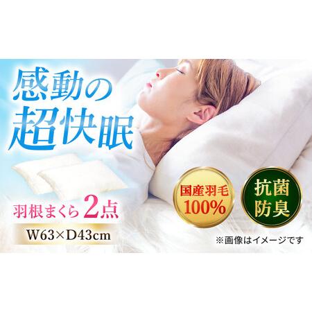 ふるさと納税 国産羽根まくら 2点セット 羽毛1.1kg / まくら[AFAO012] 福岡県広川町