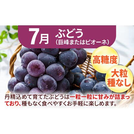 楽天市場】里芋 種 イモの通販 里芋の種子50粒＋粗品プレゼント＋