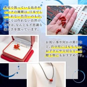 ふるさと納税 【数量限定】ピンク珊瑚バラ両面彫トップ付ネックレス 珊瑚 サンゴ アクセサリー ペンダント wa4-002 鹿児島県志布志市_2