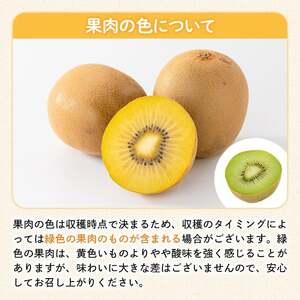 ふるさと納税 ＜先行予約！2026年10月中旬以降順次発送予定＞香川県産 さぬきゴールドキウイ(約1kg) 国産 果物 フルーツ キウイフルーツ 新.. 香川県まんのう町_2