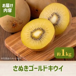 ふるさと納税 ＜先行予約！2026年10月中旬以降順次発送予定＞香川県産 さぬきゴールドキウイ(約1kg) 国産 果物 フルーツ キウイフルーツ 新.. 香川県まんのう町_3