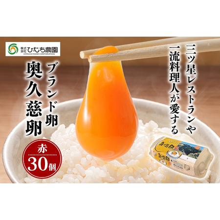 ふるさと納税 奥久慈卵（赤）30個 ブランド卵 三ツ星レストラン【卵