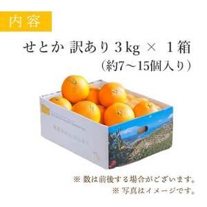 ふるさと納税 【2025年2月以降発送】とろける濃厚柑橘 せとか3kg 愛媛県八幡浜産【訳あり】【1128816】 愛媛県八幡浜市｜furunavi｜02