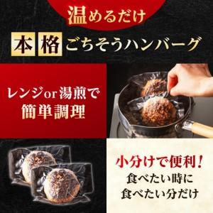 ふるさと納税 【3回定期便】若楠三元豚ハンバーグ 120g×8個 /ナチュラルフーズ [UBH056] ハンバーグ 佐賀県武雄市_2