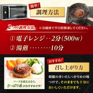 ふるさと納税 【3回定期便】若楠三元豚ハンバーグ 120g×8個 /ナチュラルフーズ [UBH056] ハンバーグ 佐賀県武雄市_3