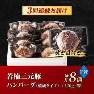 ふるさと納税 【3回定期便】若楠三元豚ハンバーグ 120g×8個 /ナチュラルフーズ [UBH056] ハンバーグ 佐賀県武雄市_4