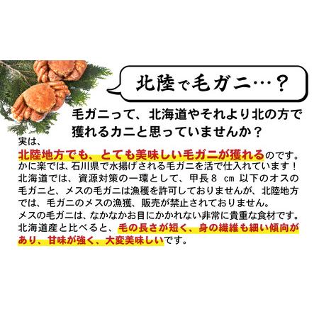 ふるさと納税 Ａ 石川産オス毛ガニ甲羅盛（220ｇ前後×1個） 合計1個 [E-096008_01] 福井県福井市｜furunavi｜02