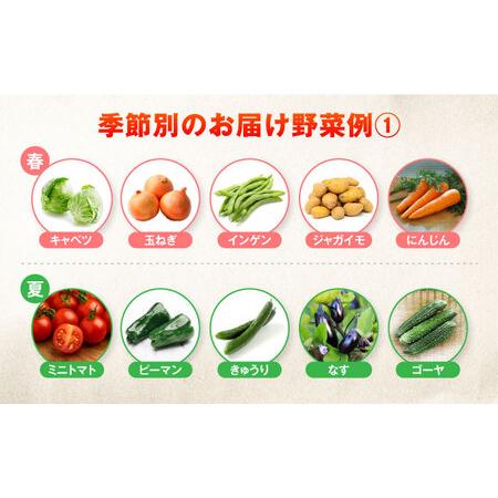 ふるさと納税 【全10回定期便】有機農法・旬の野菜詰め合わせ 五島市/ぷらっと農園 [PDS010] 長崎県五島市の画像