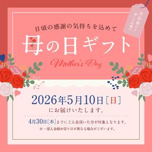 ふるさと納税 【母の日ギフト】 大分県特産品【甘太くん】干し芋100g×4袋 ≪5月10日お届け≫  F02006-H 大分県大分市の画像