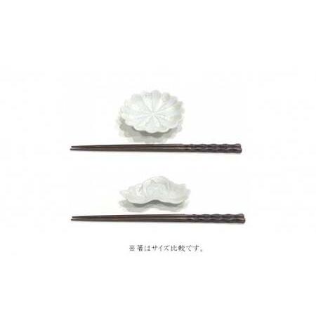 ふるさと納税 有田焼 北川美宣窯 パール 小皿セット 24to3 西富陶磁器 A45-269 佐賀県有田町の画像