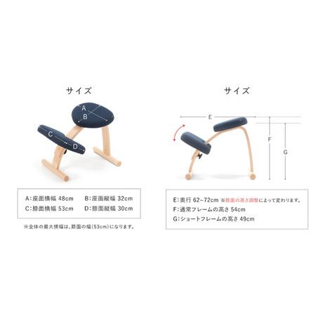 ふるさと納税 椅子 バランスイージー カバー付き 選べる フレーム
