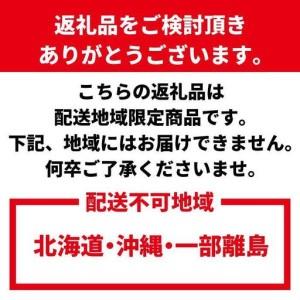 ふるさと納税 わかやま旬のくだもの定期便 全6回【Ｓ】【1・3・6・7・10・11月発送 】※北海道・沖縄・離島への配送不可 S6-e［MS162］ 和歌山県和歌山市_2