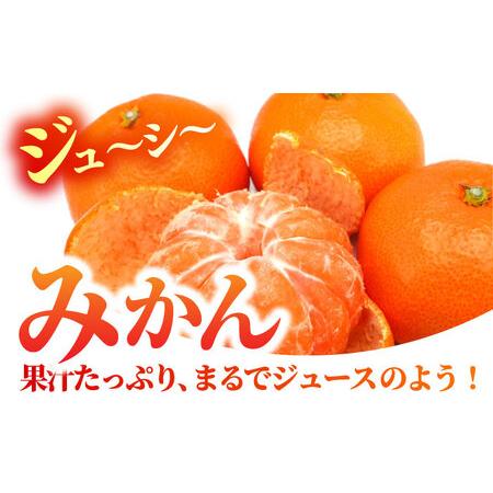 ふるさと納税 【先行予約】【6回定期便】品種おまかせ みかん・ぶどう 定期便【合同会社 社方園】[ZBZ025] 熊本県山鹿市_2