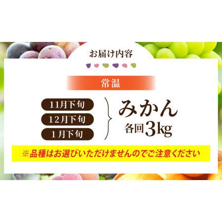 ふるさと納税 【先行予約】【6回定期便】品種おまかせ みかん・ぶどう 定期便【合同会社 社方園】[ZBZ025] 熊本県山鹿市_4