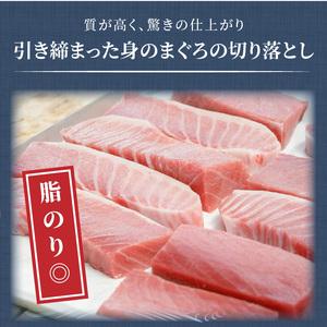 ふるさと納税 《父の日》鷹島産本まぐろ 贅沢まぐろ丼セットたっぷり2人前(赤身と中・大トロの切り落とし200g)【A8-006-20】 マグロ 本マグロ 鷹.. 長崎県松浦市｜furunavi｜03