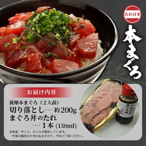 ふるさと納税 《父の日》鷹島産本まぐろ 贅沢まぐろ丼セットたっぷり2人前(赤身と中・大トロの切り落とし200g)【A8-006-20】 マグロ 本マグロ 鷹.. 長崎県松浦市｜furunavi｜05