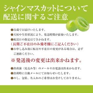 ふるさと納税 シャインマスカット　２キロ　３〜５房　土橋農園[5839-1884] 山梨県市川三郷町｜furunavi｜03