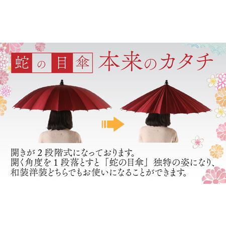 【辛子】蛇の目洋傘　雨傘(親骨55cm) [K-035003_02] 【丹波篠山市】 福井県福井市