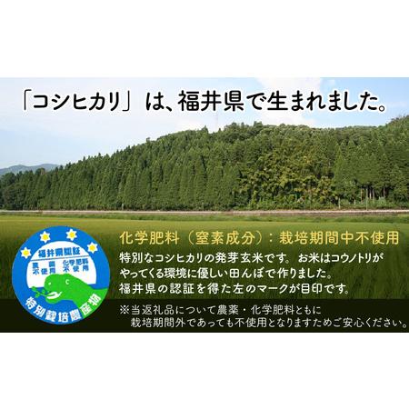 ふるさと納税 【令和7年産】発芽玄米 コシヒカリ「特選」特別栽培米使用 2kg×3袋（計6kg）【米 こしひかり 玄米 ギャバ GABA 特別栽培 食物.. 福井県坂井市_1