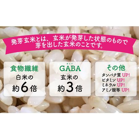 ふるさと納税 【令和7年産】発芽玄米 コシヒカリ「特選」特別栽培米使用 2kg×3袋（計6kg）【米 こしひかり 玄米 ギャバ GABA 特別栽培 食物.. 福井県坂井市_2