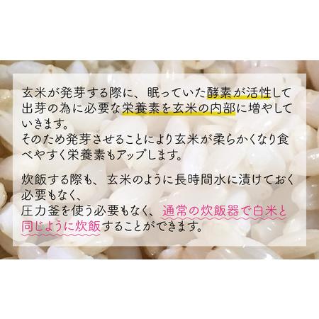 ふるさと納税 【令和7年産】発芽玄米 コシヒカリ「特選」特別栽培米使用 2kg×3袋（計6kg）【米 こしひかり 玄米 ギャバ GABA 特別栽培 食物.. 福井県坂井市_3