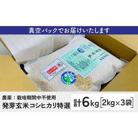 ふるさと納税 【令和7年産】発芽玄米 コシヒカリ「特選」特別栽培米使用 2kg×3袋（計6kg）【米 こしひかり 玄米 ギャバ GABA 特別栽培 食物.. 福井県坂井市_4